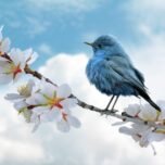 bird, blue, clouds-8788491.jpg